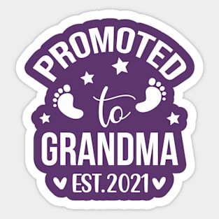 Promoted To Grandma Est 2021 Pregnancy Announcement Family Sticker